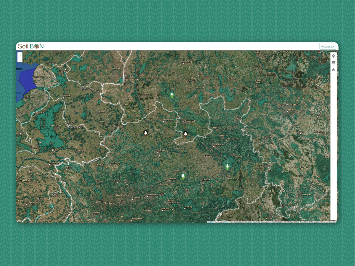 Image demonstrating SOILBON project